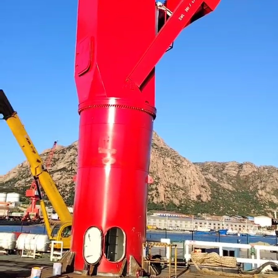 Bulk Cargo Crane Bulk Cargo Crane